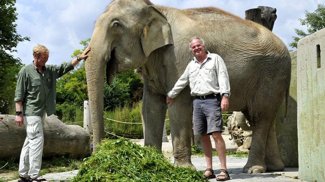 Die Tierpark-Reporter Jens-Uwe Heins und Felix Heidinger in Hellabrunn