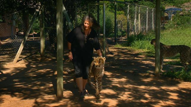 Laurie Marker mit Gepard Kaijay.