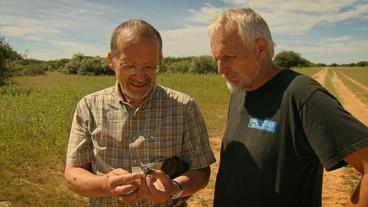 Prof. Dr. Walter Hödl (rechts) und Dr. Hartwig Dell’mour mit einem Mistkäfer.