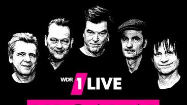 1LIVE Ikonen – Die Toten Hosen - Podcast