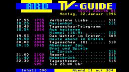 Das Programm vom 22. Januar 1996