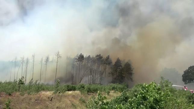 Dichter Rauch über einem Waldgebiet; Waldbrand.