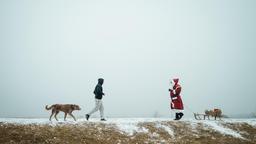 Freizeit-Weihnachtsmann Martin ist für seinen Kumpel eingesprungen – galt der tödliche Schuss ihm? Muss der Mann geschützt werden? Oder wusste er, dass man ihn umbringen will – und hat zwei Fliegen mit einer Klappe geschlagen? 