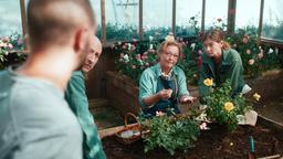 Die schönsten Rosen wachsen nicht einfach so. Niemand wüsste das besser als Madame Vernet. Die Rosenzucht ihres verstorbenen Vaters, die sie mitsamt wertvoller Patente übernommen hat, genießt großes Ansehen. 