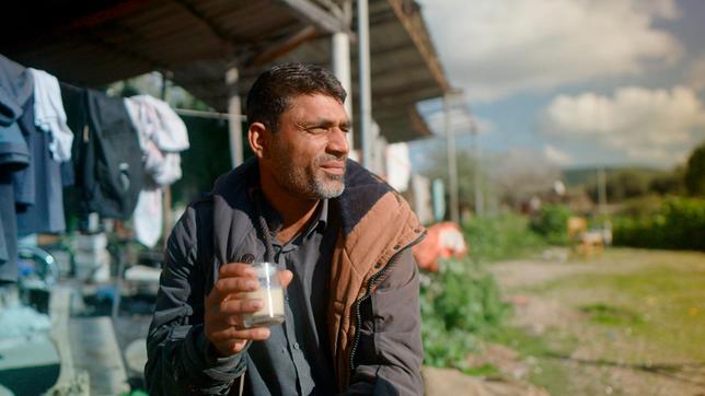 Naveed aus Pakistan erntet Oliven in Griechenland.