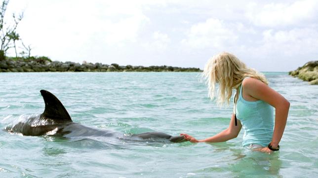 Seitdem ihre Mutter vor einem Jahr gestorben ist, lebt die 14 Jahre alte Alyssa (Carly Schroeder) bei ihrer Groﬂmutter Lucy (Katharine Ross). Doch dann entscheidet Lucy, dass Alyssa auf die Bahamas ziehen soll, wo ihr Vater Hawk (Adrian Dunbar) als Delphinforscher lebt und arbeitet. Allerdings hat Alyssa ihren Vater noch nie im Leben gesehen...