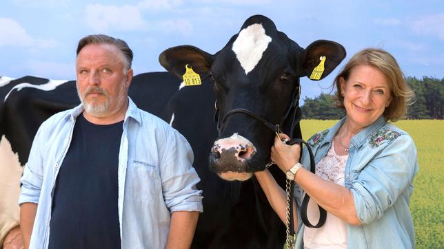 Thomas und Jutta mit der Kuh Gloria 