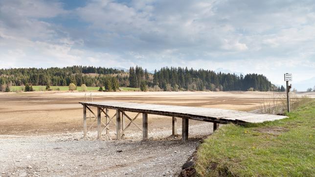 Steg an einem ausgetrockneten See