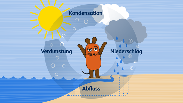 Die Maus zeigt den Wasserkreislauf