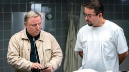 Auf dem Handy von Prof. Karl-Friedrich Boerne (Jan Josef Liefers, r) schaut sich Frank Thiel (Axel Prahl, l) an, welche Bilder gerade im Internet kursieren: Er wurde fotografiert, wie er scheinbar lachend am Tatort steht.