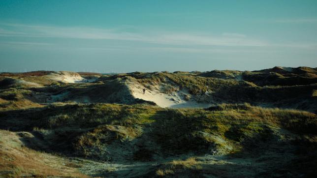 Falke (Wotan Wilke Möhring) in den Norderneyer Dünen.