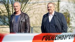 TATORT: NARBEN: Kommissare Max Ballauf (Klaus J. Behrendt) und Freddy Schenk (Dietmar Bär).