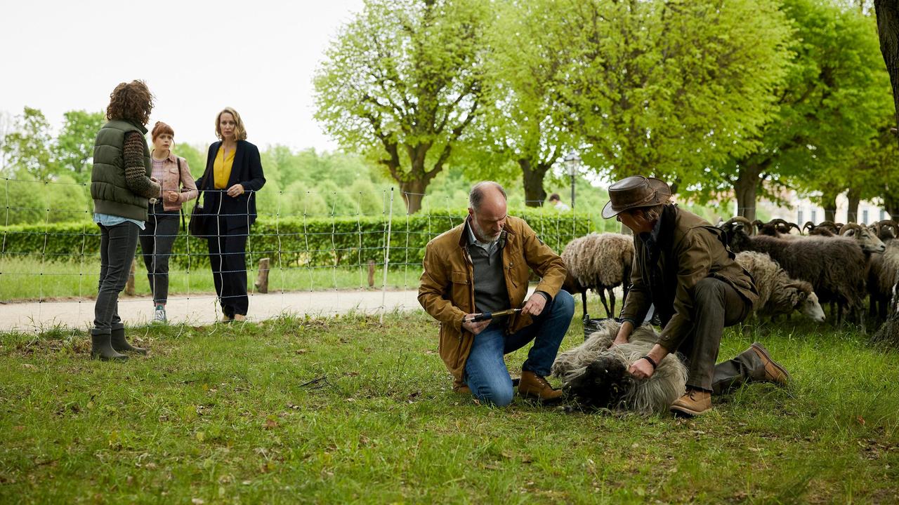 Romy Heiland (Christina Athenstädt) und ihre Assistentin Tilly Vogel (Sina Reiß, 2.v.l..) erfahren von der Auszubildenden Sina Behring (Louise Debatin), dass jemand versucht hat, die Schafe zu vergiften; Schäfer Gerrit Streberg (Markus Gertken) musste den Tierarzt Simon Holting (Holger Daemgen) rufen.