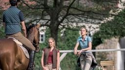 Maggie (Jeanette Hain, re.) trainiert Maximilian (Christoh Luser) und das Trakehnervollblut Lexadir.