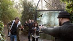 Einsatz im Tierpark: Piet Welbrook (Peter Fieseler) und Harry (Maria Ketikidou) versuchen, den Polizeipraktikanten Casper Köster (Timur Bartels, im HG) aus der Schusslinie des geflohenen Straftäters Sascha Terlinden (Alexander Grünberg) zu bringen.