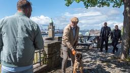 Weil sein Hund beim Anblick von Teddy Jedrzejek (Patrick Heinrich) anschlägt, ist Hans Fillges (Wolfgang Häntsch) überzeugt, hier dem Einbrecher gegenüberzustehen, der in sein Haus eingedrungen ist. Lukas Petersen (Patrick Abozen) und Bente Hinrichs (Sinha Melina Gierke) müssen den Anschuldigungen nachgehen.