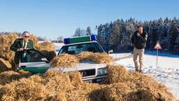  Die Bremsen am Streifenwagen haben versagt. Hubert (Christian Tramitz, r.) und Girwidz (Michael Brandner, l.) landen in einem Haufen aus Strohballen und kommen mit dem Schrecken davon.