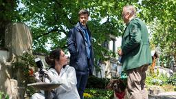 Der Besitzer von Hund Amarillo Dr. Daniel Schilling (Wayne Carpendale) kommt auf den Friedhof, um seinen Hund abzuholen. Dr. Caroline Fuchs (Susu Padotzke) und Girwidz (Michael Brandner) versuchen über den Hundebesitzer mehr über den Fall zu erfahren.