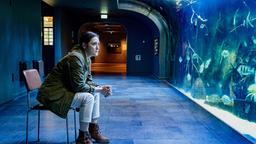 Dr. Elif Şahin (Neshe Demir) ist die neue Cheftierärztin des Leipziger Zoos. Die Fische des Aquariums bereiten ihr große Sorge.