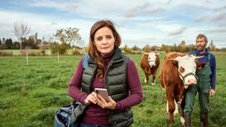 Dr. Susanne Mertens (Elisabeth Lanz) ist mit viel Herzblut als freie und mobile Tierärztin im Einsatz. Hier bei Bauer Timmermann (Reinhard Sommer)