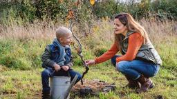 Kleiner Rundgang im Garten des Wochenendhauses von Susanne Mertens (Elisabeth Lanz): Sie zeigt dem jungen Max Lehmann (Miguel Wüllner) ihr Lieblingsbäumchen. Seine Eltern sind am Kauf ihres Hauses interessiert.
