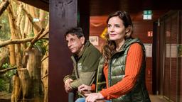 Tierärztin Dr. Susanne Mertens (Elisabeth Lanz) und Cheftierpfleger Conny Weidner (Thorsten Wolf) beobachten einen Koala, der nicht mehr klettern will. Wie können sie dem Tier helfen?