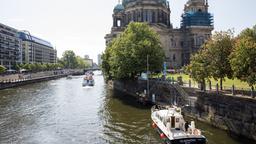 Die Silbermöwe in Berlin unterwegs.