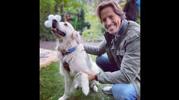 Tierischer Rosen-Star: Hund Casper ist Kalle