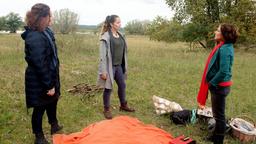 Astrid (Claudia Schmutzler), Sabine (Marianne Graffam) und Tina (Katja Frenzel) wollen den Mauerfall am Elbufer feiern. Dabei es kommt zu Spannungen zwischen den Geschwistern.