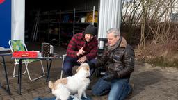 Frank (Axel Buchholz) und Ben (Hakim Michael Meziani) wetten, wer Betty zuerst ein Kommando beibringen kann.