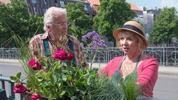 Hajo (Werner Haindl) stößt mit seiner Hilfsbereitschaft auch bei Erika (Madeleine Lierck-Wien) auf Widerstand.