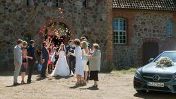 Hochzeit: Die Hochzeitsgäste streuen Rosenblüten über die frisch Vermählten aus.