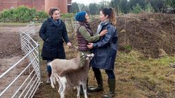 Tina (Katja Frenzel) und Sabine (Marianne Graffam) bringen Astrid (Claudia Schmutzler) die Ziegen.