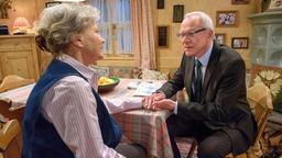 Sturm der Liebe Folge 2250 29.06.2015: Hildegard und Werner