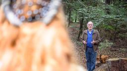 Alfons (Sepp Schauer, im HG) hat eine wundersame Erscheinung. Im Wald erscheint ihm die Wohltäterin Aldagund von Lohenstein (Silke Franz, l.), die sich Ende des 12 Jahrhunderts um die Ärmsten der Armen kümmerte.Sturm der Liebe Folge 2335: 