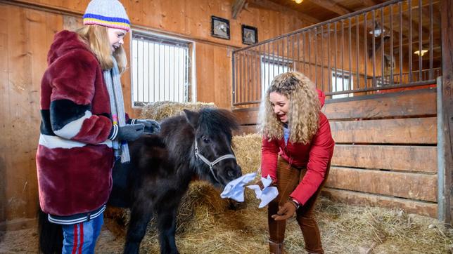 Franzi (Léa Wegmann) und Lucy (Jennifer Siemann) sind entsetzt, als das Pony die Vollmacht auffrisst.