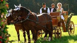 Hochzeit: Die Brautkutsche mit Maja (Christina Arends) und Cornelius (Christoph Mory) fährt vor.