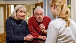 Leentje (Antje Mairich) und André (Joachim Lätsch) schlagen Rosalie (Natalie Alison) vor, aus dem "Café Liebling" ein Bistro zu machen.