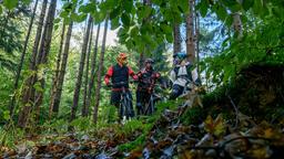 Michael (Erich Altenkopf) überschätzt sich bei der Mountainbike-Tour mit Paul (Sandro Kirtzel) und Max (Stefan Hartmann).