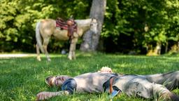 Sturz vom Pferd: Viktor (Sebastian Fischer) liegt ohnmächtig im Gras, im Hintergrund Taifun.