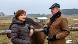 Susan (Marion Mitterhammer) entschuldigt sich bei Werner (Dirk Galuba). Sie sieht ein, dass er es nur gut gemeint hat, als er ihr die Stelle der Restaurantleiterin angeboten hat.