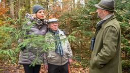 Walter (Hans-Jürgen Silbermann) möchte noch einmal mit Natascha (Melanie Wiegmann) Weihnachten feiern. Auf der Suche nach einem Weihnachtsbaum, geraten die beiden in eine missliche Lage (mit Komparse).