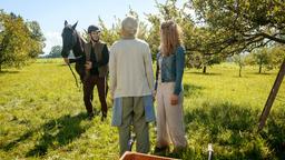 Zu Franzis (Léa Wegmann) Überraschung taucht Tim (Florian Frowein) auf der Obstwiese von Margit (Michaela Stögbauer) auf.